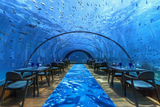 Bizim de kaldığımız bizce dünyanın en güzel oteli Maldivler'deki Hurawalhi Resort'un restoranı